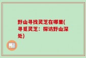 野山寻找灵芝在哪里(寻觅灵芝：探访野山深处)