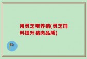 用灵芝喂养猪(灵芝饲料提升猪肉品质)
