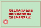 灵芝盆景头像大全高清图片(极具观赏性的灵芝盆景头像高清大全)