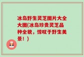 冰岛野生灵芝图片大全大图(冰岛珍贵灵芝品种全貌，惊叹于野生美景！)