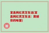 宜昌网红灵芝生活(宜昌网红灵芝生活：震撼你的味蕾)