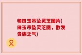 和田玉吊坠灵芝图片(田玉吊坠灵芝图，散发贵族之气)