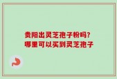 贵阳出灵芝孢子粉吗？哪里可以买到灵芝孢子