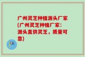 广州灵芝种植源头厂家(广州灵芝种植厂家：源头直供灵芝，质量可靠)