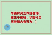 华西村灵芝养殖基地(重生于废墟，华西村灵芝养殖大有可为！)