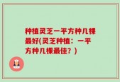 种植灵芝一平方种几棵最好(灵芝种植：一平方种几棵最佳？)
