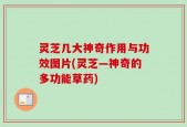灵芝几大神奇作用与功效图片(灵芝—神奇的多功能草药)