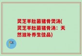 灵芝羊肚菌猪骨煲汤(灵芝羊肚菌猪骨汤：天然滋补养生佳品)