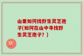 山里如何找野生灵芝孢子(如何在山中寻找野生灵芝孢子？)