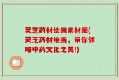 灵芝药材绘画素材图(灵芝药材绘画，带你领略中药文化之美!)