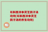 石斛西洋参灵芝鸽子汤功效(石斛西洋参灵芝鸽子汤的养生功效)