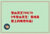 雪山灵芝709(709号雪山灵芝：雪域高原上的稀世珍品)