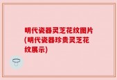 明代瓷器灵芝花纹图片(明代瓷器珍贵灵芝花纹展示)