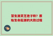 慧生源灵芝孢子粉？原始生命起源的大致过程