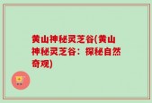 黄山神秘灵芝谷(黄山神秘灵芝谷：探秘自然奇观)