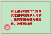 灵芝孢子粉图作？好像灵芝孢子粉挺多人用的，我同事说也很方便服用，效果可以吗