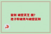 鉴别 破壁灵芝 图？孢子粉破壳与破壁区别