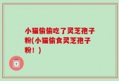 小猫偷偷吃了灵芝孢子粉(小猫偷食灵芝孢子粉！)