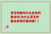 灵芝种植为什么出包的菌会烂(为什么灵芝种植会出现烂菌问题？)