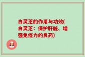 白灵芝的作用与功效(白灵芝：保护肝脏、增强免疫力的良药)