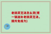 老鸽灵芝汤怎么煲(煮一锅滋补老鸽灵芝汤，提升免疫力)