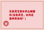 五色灵芝是补药么嘛图片(五色灵芝，补药还是神奇食材？)