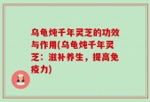 乌龟炖千年灵芝的功效与作用(乌龟炖千年灵芝：滋补养生，提高免疫力)