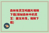 森林有灵芝吗图片视频下载(探秘森林中的灵芝：图文并茂，视频下载)