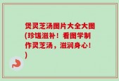 煲灵芝汤图片大全大图(珍馐滋补！看图学制作灵芝汤，滋润身心！)