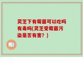 灵芝下有霉菌可以吃吗有毒吗(灵芝受霉菌污染是否有害？)