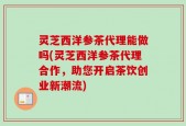 灵芝西洋参茶代理能做吗(灵芝西洋参茶代理合作，助您开启茶饮创业新潮流)