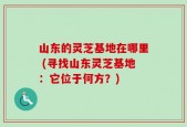 山东的灵芝基地在哪里 (寻找山东灵芝基地：它位于何方？)