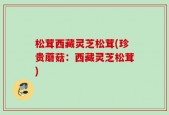 松茸西藏灵芝松茸(珍贵蘑菇：西藏灵芝松茸)