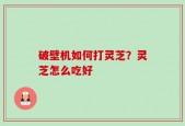 破壁机如何打灵芝？灵芝怎么吃好