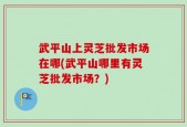 武平山上灵芝批发市场在哪(武平山哪里有灵芝批发市场？)