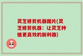 灵芝修剪机器图片(灵芝修剪机器：让灵芝种植更高效的新利器)