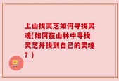 上山找灵芝如何寻找灵魂(如何在山林中寻找灵芝并找到自己的灵魂？)