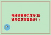 福建哪里种灵芝好(福建种灵芝哪里最好？)