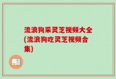 流浪狗采灵芝视频大全(流浪狗吃灵芝视频合集)