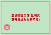 盐城破壁灵芝(盐城灵芝开发进入全新阶段)