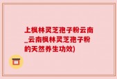 上枫林灵芝孢子粉云南_云南枫林灵芝孢子粉的天然养生功效)