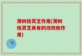 薄树枝灵芝作用(薄树枝灵芝具有的功效和作用)