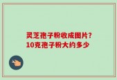 灵芝孢子粉收成图片？10克孢子粉大约多少
