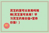 灵芝的茎可以食用吗视频(灵芝茎可食用？学习灵芝药用价值+营养价值！)