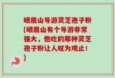 峨眉山导游灵芝孢子粉(峨眉山有个导游非常强大，他吃的那种灵芝孢子粉让人叹为观止！)