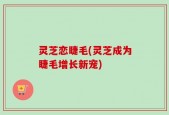 灵芝恋睫毛(灵芝成为睫毛增长新宠)