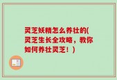 灵芝妖精怎么养壮的(灵芝生长全攻略，教你如何养壮灵芝！)
