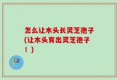 怎么让木头长灵芝孢子(让木头育出灵芝孢子！)