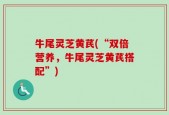 牛尾灵芝黄芪(“双倍营养，牛尾灵芝黄芪搭配”)