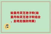 能量丹灵芝孢子粉(能量丹和灵芝孢子粉结合，呈现出强劲效果)